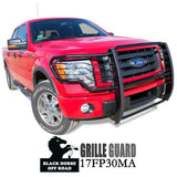 BLACK HORSE 17FP30MA Grille Guard