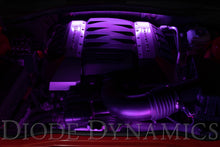 Load image into Gallery viewer, Diode Dynamics DD0440 Highly versatile LED Strips to add accent lighting to your vehicle.