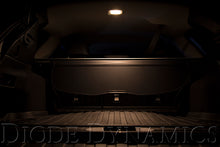 Load image into Gallery viewer, Diode Dynamics DD0143S Direct replacement for your factory bulb. for Select Dodge Dakota, Subaru Outback