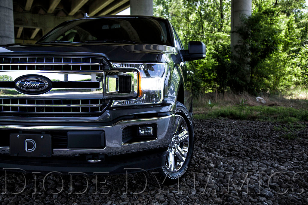 Diode Dynamics DD0462S Direct replacement for your factory bulb. for Select Ford F-150, Ford F-250 Super Duty