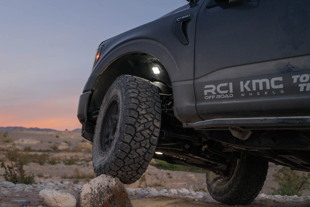 Diode Dynamics DD7433 Rock Light featuring 1000 lumens of peak output, at over 10 watts of power.