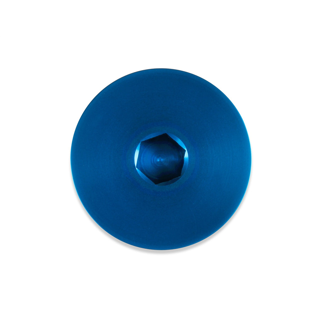 -20An-Low-Profile-Port-Plug,-Blue