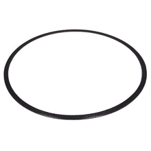 Load image into Gallery viewer, Alliant Power AP70300 Diesel Particulate Filter (DPF) Gasket