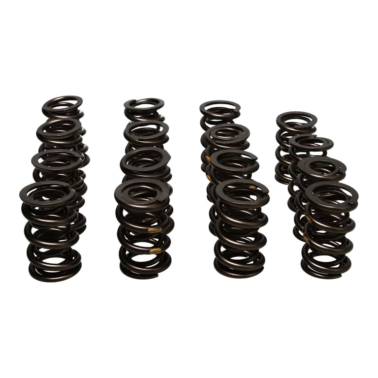 Manley 261454 Manley Valve Spring Kit, KIT-NexTek SPRING
