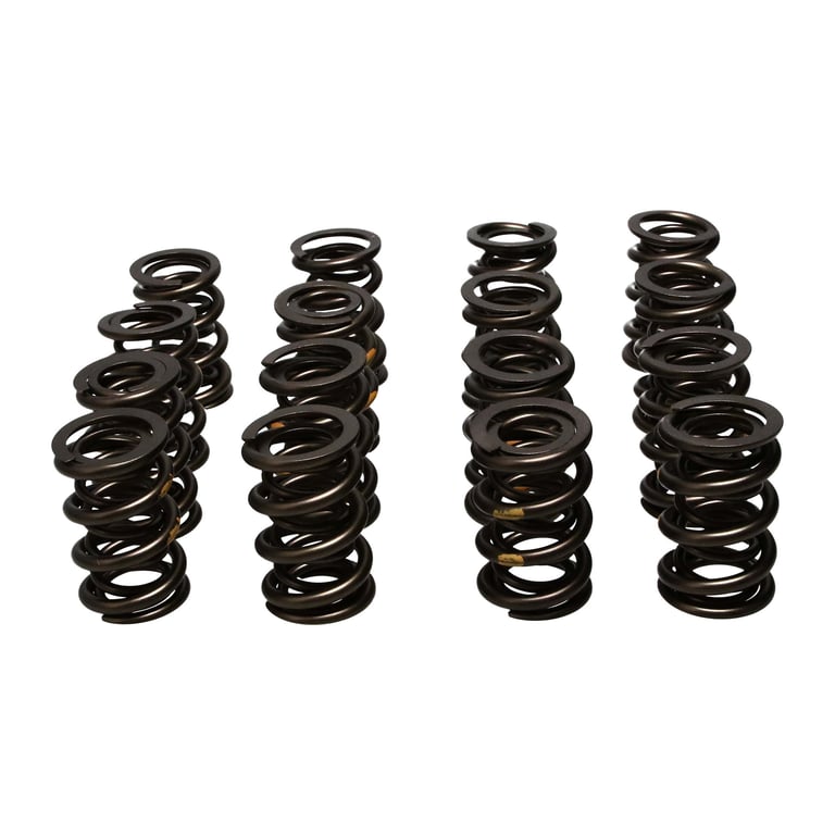 Manley 261454 Manley Valve Spring Kit, KIT-NexTek SPRING