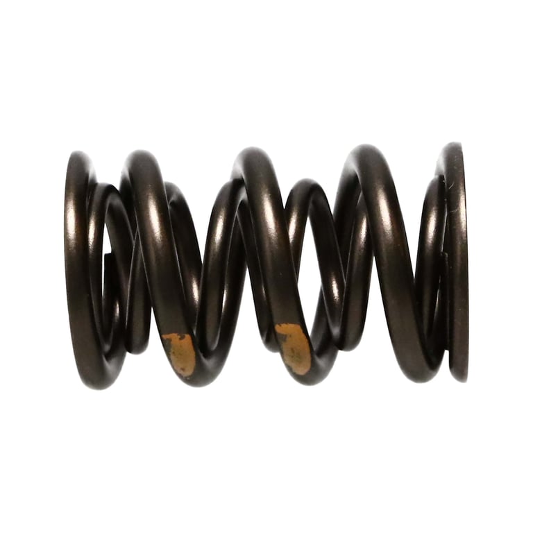 Manley 261454 Manley Valve Spring Kit, KIT-NexTek SPRING