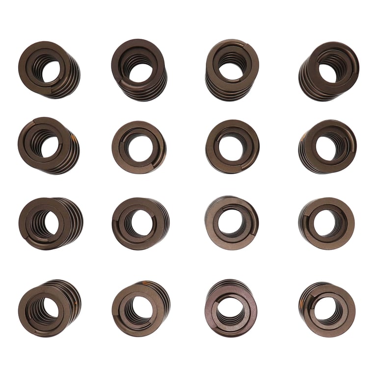 Manley 261454 Manley Valve Spring Kit, KIT-NexTek SPRING