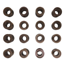 Load image into Gallery viewer, Manley 261454 Manley Valve Spring Kit, KIT-NexTek SPRING