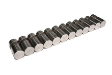 Load image into Gallery viewer, COMP Cams 2901-12 Performance Series EDM Solid Lifter Set of 12 AMC, Chrysler
