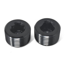 Load image into Gallery viewer, Performance-14In-Allen-Socket-Pipe-Plug-(Black)