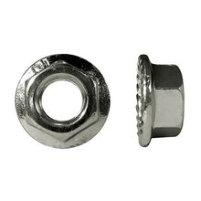 Load image into Gallery viewer, Paulin 009-126 M6-1.00 Metric Flange Nuts Steel Zinc Coarse Spin Lock Serrated Class 10