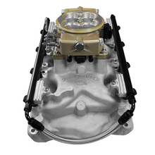 Load image into Gallery viewer, FiTech Fuel Injection 30-18-414 Ultra Port, 1000 HP Ford 351W, Offenhauser VPI,  Port EFI System, Classic Gold