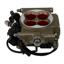 Load image into Gallery viewer, FiTech Fuel Injection 30003 FI System Kit