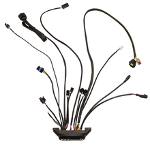 Load image into Gallery viewer, FiTech Fuel Injection 30004-1 30004 Replacement ECU