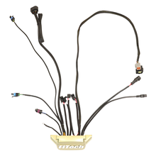 Load image into Gallery viewer, FiTech Fuel Injection 30005-1 30005 Replacement ECU