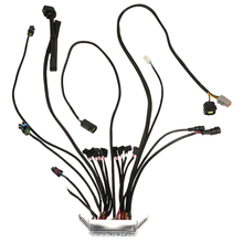 Load image into Gallery viewer, FiTech Fuel Injection 30006-1 30006 Replacement ECU