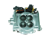 Load image into Gallery viewer, FiTech Fuel Injection 30006 FI System Kit