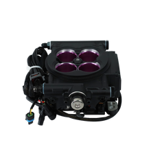 Load image into Gallery viewer, FiTech Fuel Injection 30008 FI System Kit