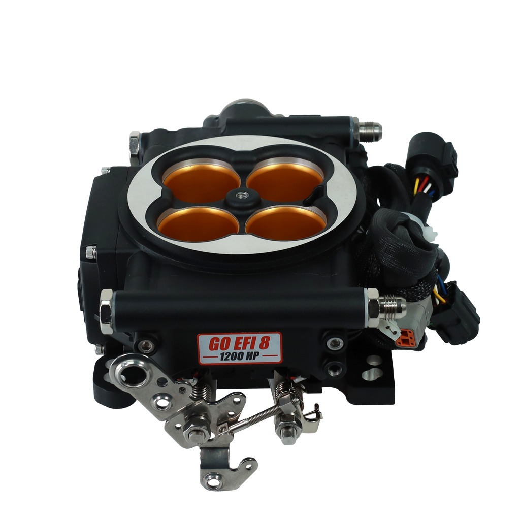 FiTech Fuel Injection 30012 FI System Kit