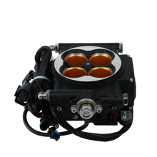 Load image into Gallery viewer, FiTech Fuel Injection 30012 FI System Kit