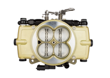 Load image into Gallery viewer, FiTech Fuel Injection 30020 FI System Kit