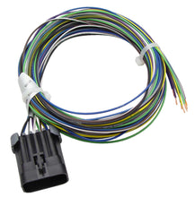 Load image into Gallery viewer, FAST 301402 Analog Input Harness for XFI