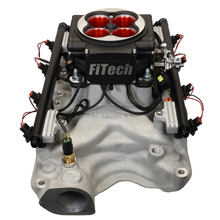 Load image into Gallery viewer, FiTech Fuel Injection 30203 Go Port Offenhauser 750 HP Ford 351W Port EFI System