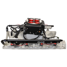 Load image into Gallery viewer, FiTech Fuel Injection 30203 Go Port Offenhauser 750 HP Ford 351W Port EFI System