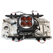 Load image into Gallery viewer, FiTech Fuel Injection 30254 FI System Kit