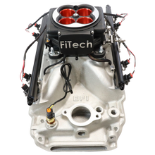Load image into Gallery viewer, FiTech Fuel Injection 30254 FI System Kit