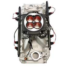 Load image into Gallery viewer, FiTech Fuel Injection 30254 FI System Kit