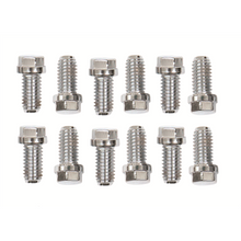 Load image into Gallery viewer, 304-SS-Header-Bolt-Kit-Hex-Head-38-16X34
