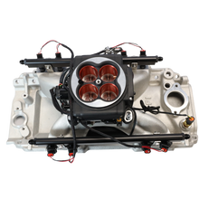 Load image into Gallery viewer, FiTech Fuel Injection 30258 FI System Kit