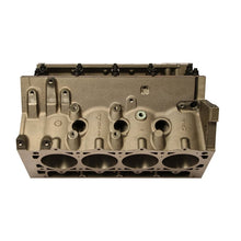 Load image into Gallery viewer, DART 31867111 LS Next SHP Iron Gen III Blocks (Skirted)