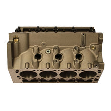 Load image into Gallery viewer, DART 31867111 LS Next SHP Iron Gen III Blocks (Skirted)