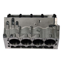 Load image into Gallery viewer, DART 31947221-WW1 LS Next2 Aluminum Engine Block (Skirted)