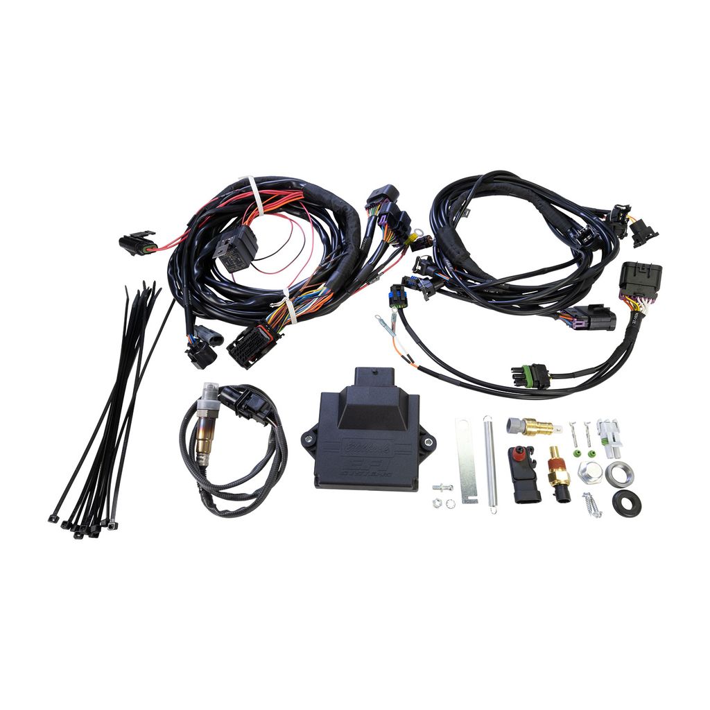 Edelbrock 35721 Pro-Flo 4 Standalone ECU and Harness Kit, No Distributor