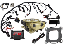 Load image into Gallery viewer, FiTech Fuel Injection 37001 FI System Kit