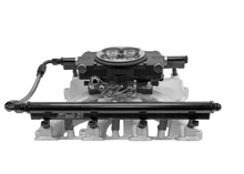 Load image into Gallery viewer, FiTech Fuel Injection 37002 FI System Kit