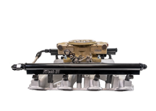 Load image into Gallery viewer, FiTech Fuel Injection 37003 FI System Kit