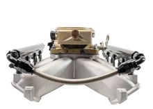 Load image into Gallery viewer, FiTech Fuel Injection 37003 FI System Kit