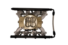Load image into Gallery viewer, FiTech Fuel Injection 37003 FI System Kit