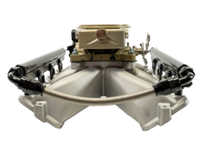 Load image into Gallery viewer, FiTech Fuel Injection 37006 FI System Kit