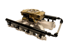 Load image into Gallery viewer, FiTech Fuel Injection 37006 FI System Kit