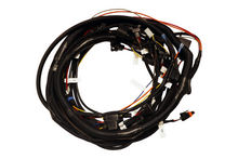 Load image into Gallery viewer, FiTech Fuel Injection 38302-6 BBC Ultra Ram Harness
