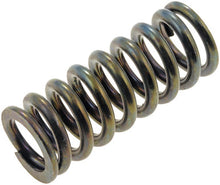 Load image into Gallery viewer, Dorman - HELP 38436 Door Hinge Spring