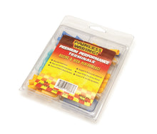 Load image into Gallery viewer, Painless Wiring 40060 Premium Performance Terminal Assortment Kit