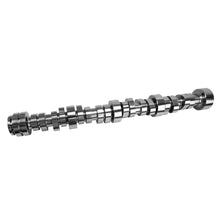 Load image into Gallery viewer, COMP Cams 405-203-17 Godzilla Stage 2 NSR Hydraulic Roller