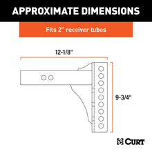 Load image into Gallery viewer, CURT 45910 Replacement 2" Channel Mount Shank (Fits #45900 or #45907, 14,000 lbs.)