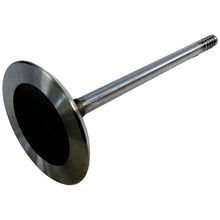 Load image into Gallery viewer, Crown Automotive Jeep Replacement 4781025AA Standard Intake Valve for 2007-2011 Jeep JK Wrangler w/ 3.8L Engine for Select Chrysler Grand Voyager, Chrysler Pacifica, Chrysler Town &amp; Country, Chrysler Voyager, Dodge Caravan, Dodge Grand Caravan, Jeep